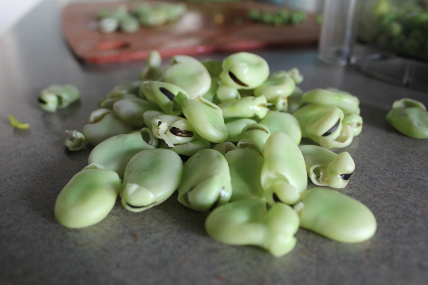 A typical scene when making fava beans